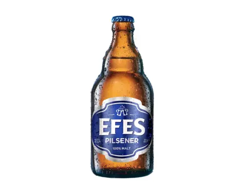 Efes pivo, v steklenici, 500ml
