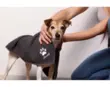 Vileda krpa Pet Pro Mikrofibre XL X